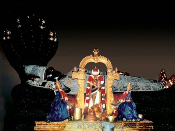 156 ఎకరాల్లో నిర్మించిన ఈ దేవాలయాన్ని ఇలా చూసినా మహా భాగ్యమే !