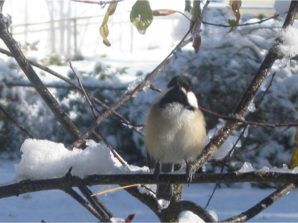 దేవకన్యలు తరచూ ఇక్కడికి వచ్చేవారట !
