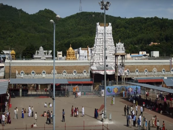 దేవుడినే పరుగులెత్తించిన పందులు... బయటపడ్డ రహస్యం...