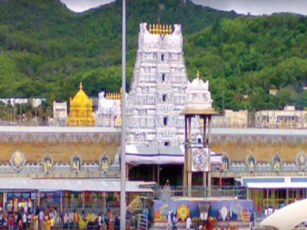 దేవుడినే పరుగులెత్తించిన పందులు... బయటపడ్డ రహస్యం...