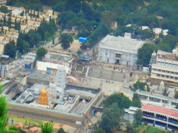 దేవుడినే పరుగులెత్తించిన పందులు... బయటపడ్డ రహస్యం...