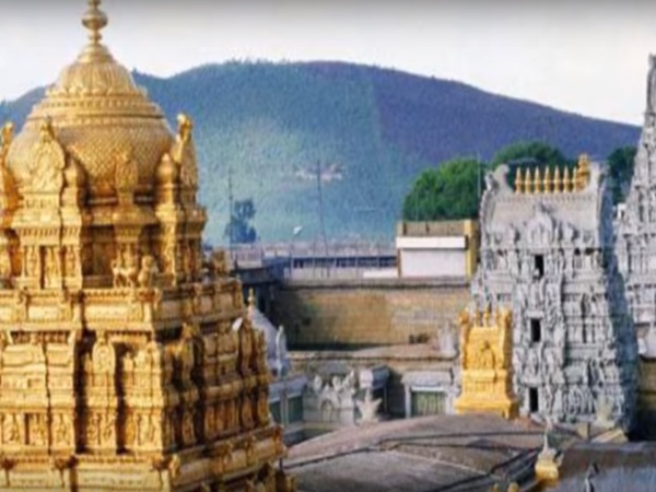 దేవుడినే పరుగులెత్తించిన పందులు... బయటపడ్డ రహస్యం...