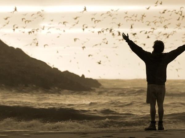 వైల్డ్ లైఫ్