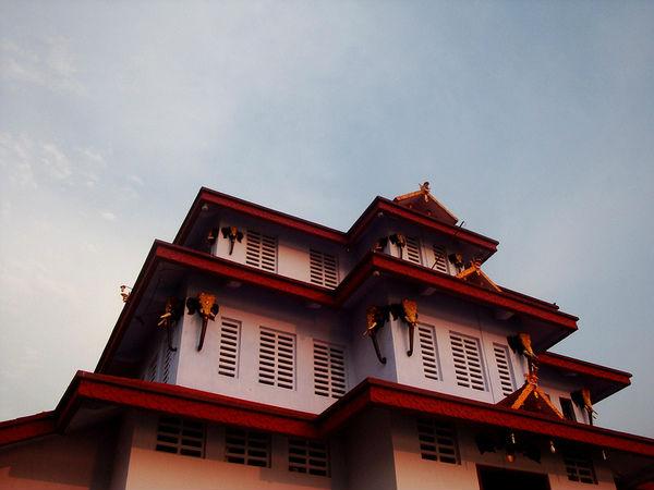 శ్రీ మావిలయిక్కవు ఆలయం