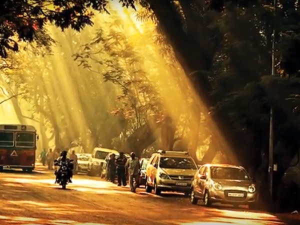 ఆర్య మిల్క్ కాలనీ రోడ్