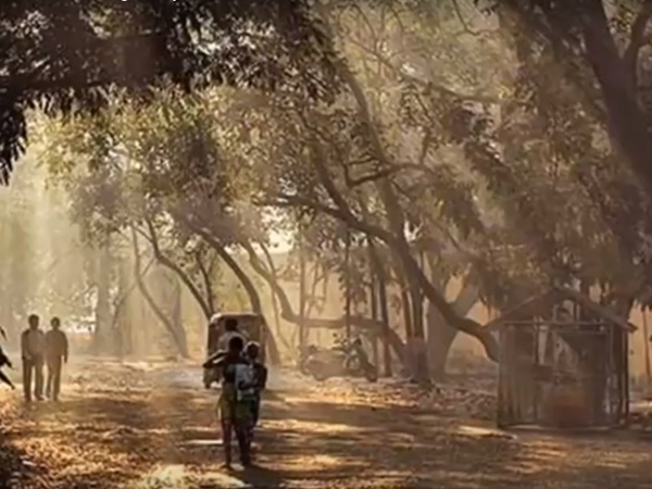 ఆర్య మిల్క్ కాలనీ రోడ్