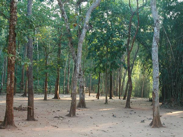 కార్తీకవనం