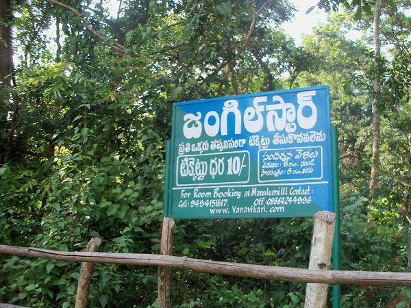 జంగల్ స్టార్ క్యాంప్ సైట్