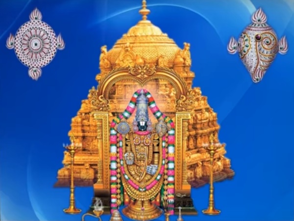 శ్రీవారి సేవలో పిల్లి