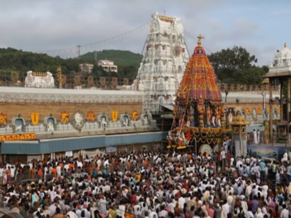 శ్రీవారి సేవలో పిల్లి