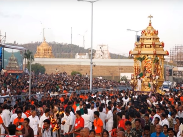 శ్రీవారి సేవలో పిల్లి