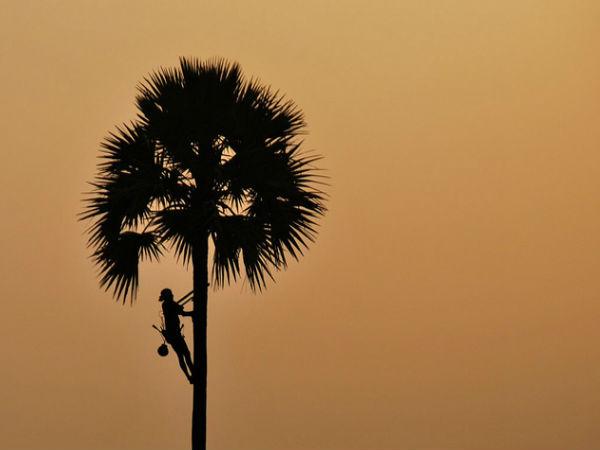 101 తలుపుల ఇల్లు కేరాఫ్ పోచంపల్లి !