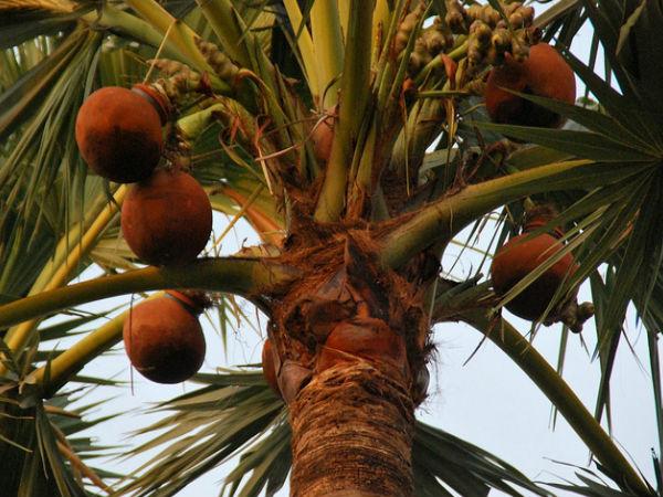 101 తలుపుల ఇల్లు కేరాఫ్ పోచంపల్లి !