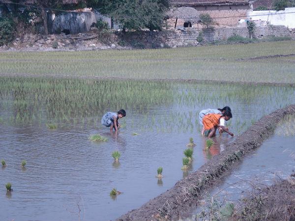 101 తలుపుల ఇల్లు కేరాఫ్ పోచంపల్లి !
