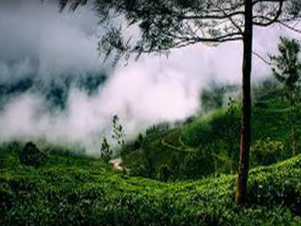 విష్ణు లోకం బ్రహ్మగిరి పర్వతాలలో