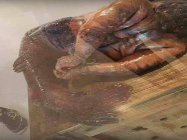 సముద్రతీరానికి కొట్టుకొచ్చిన జలకన్య !