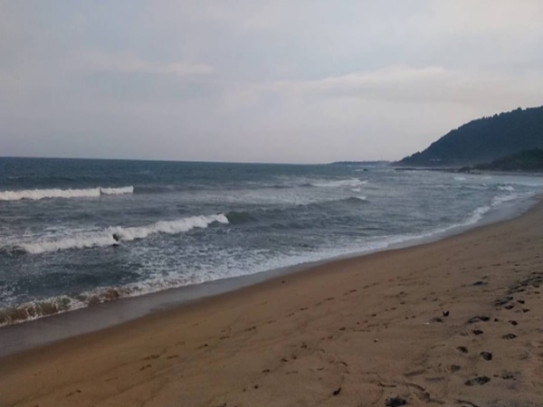 సముద్రతీరానికి కొట్టుకొచ్చిన జలకన్య !