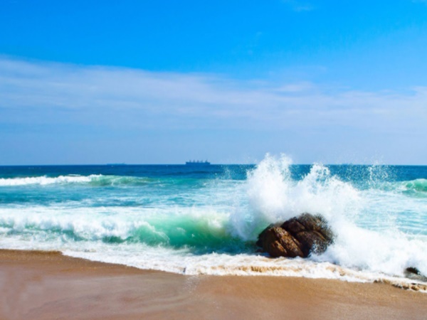 సముద్రతీరానికి కొట్టుకొచ్చిన జలకన్య !