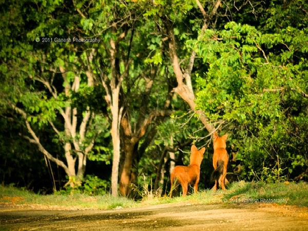 చిన్నపాటి సెలవులు గడపాలంటే ..!