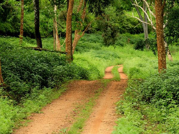 చిన్నపాటి సెలవులు గడపాలంటే ..!