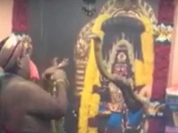 19 అడుగుల పాము కాపలాగా ఉన్న ఆలయం తెలుసా?