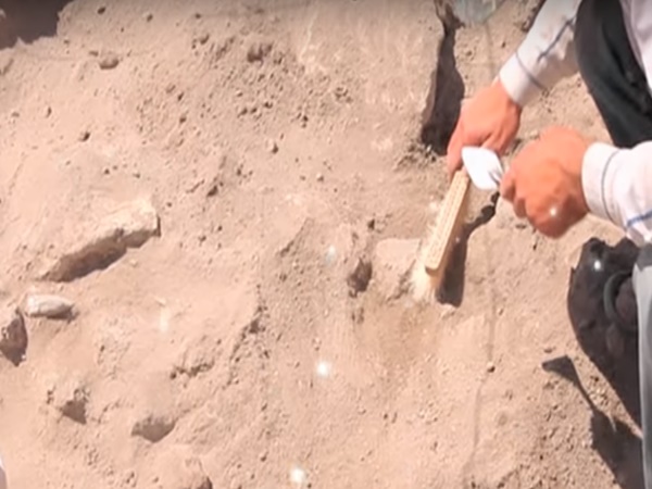 ప్రభుత్వం కంటికి చిక్కిన ఆ కోట రహస్యం ఇంతకూ ఆ కోటలో ఏముందో తెలుసా ?