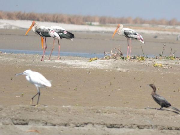 కురువంశం రాజధానియైన హస్తినాపురం గురించి మీకు తెలియని విషయాలు...