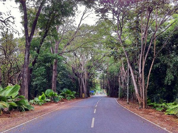 శిధిలాల మీదుగా ప్రయాణం !!