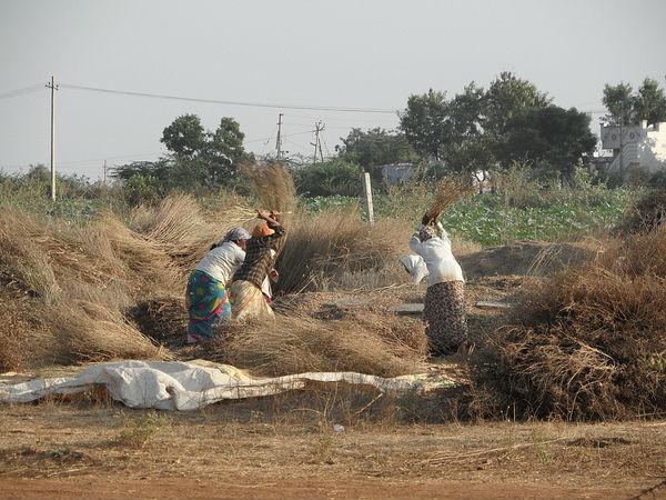 ఏపీ లోని ప్రసిద్ధ సూర్యదేవాలయాలు !
