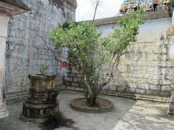 మహాప్రళయం అనంతరంకూడా చెక్కుచెదరకుండా వున్న అద్భుతమైన క్షేత్రమిది...!