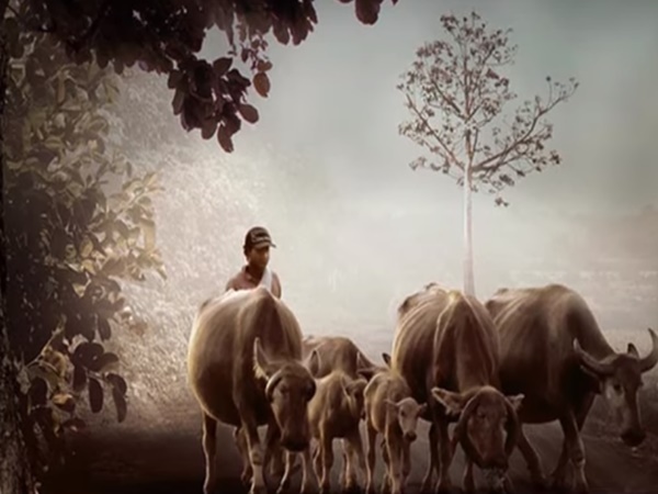 50 సం||గా పిల్లలు పుట్టకుండా శాపానికి గురైన గ్రామం?