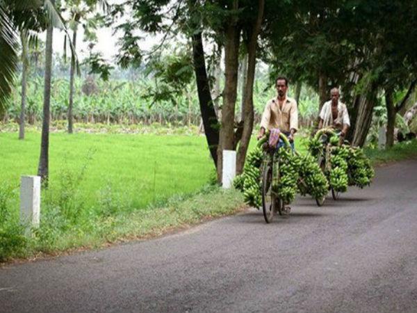 కోనసీమ వెళ్తున్నారా ?