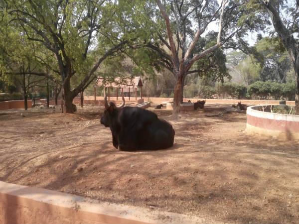 పిల్లల ఆనందాలు - పెద్దల సంతోషాలు!