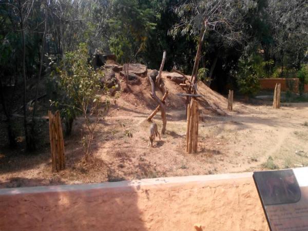 పిల్లల ఆనందాలు - పెద్దల సంతోషాలు!