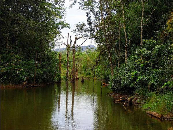 టాలీవూడ్ షూటింగ్ స్పాట్ - వాగమోన్ !
