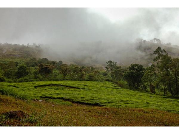 అక్కడి లోయలన్నీ సుగుంధ సువాసనలే !