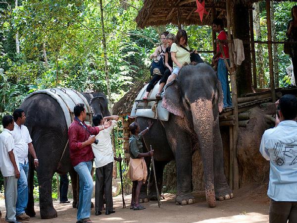 మనసు ... ఒళ్ళు ఇక తుల్లింతే !!