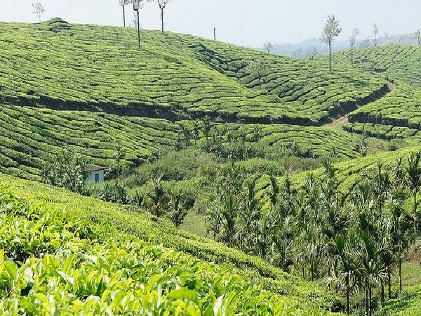 మనసు ... ఒళ్ళు ఇక తుల్లింతే !!