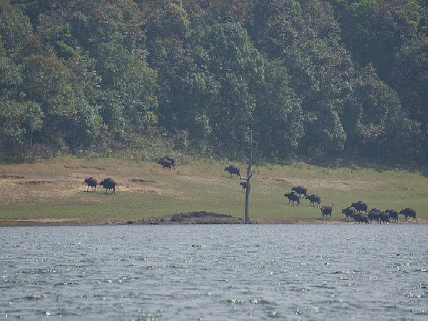 మనసు ... ఒళ్ళు ఇక తుల్లింతే !!