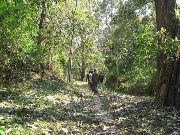 మనసు ... ఒళ్ళు ఇక తుల్లింతే !!