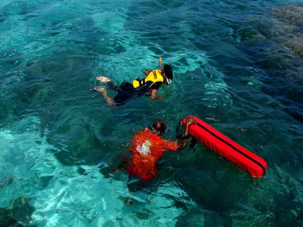 బంగారం ద్వీపానికి పొదామా ..!