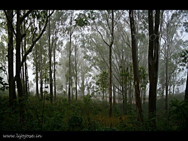 నంది ఆకారంలో ఏర్పడిన కొండ !