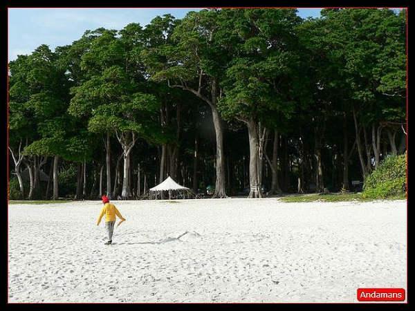 మీకు తెలియని అండమాన్ మరియు నికోబార్