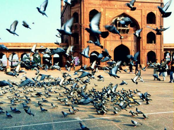 జమాలి-కమాలి మసీదు, ఢిల్లీ 