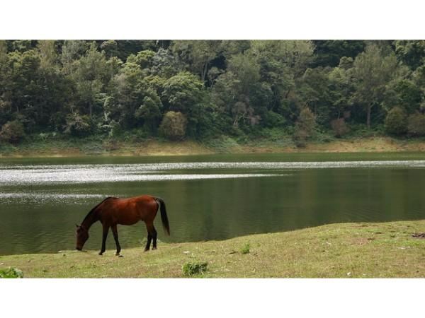 అక్కడి లోయలన్నీ సుగుంధ సువాసనలే !