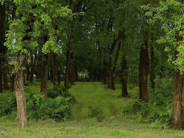 హనీమూన్ జంటలకు స్వర్గధామం