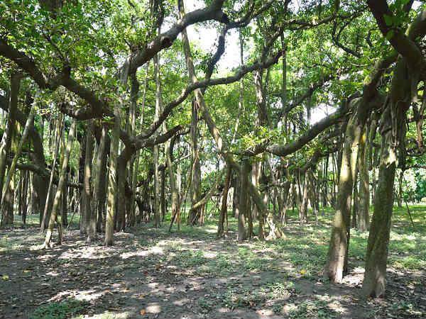 సమీప పర్యాటక ప్రాంతాలు