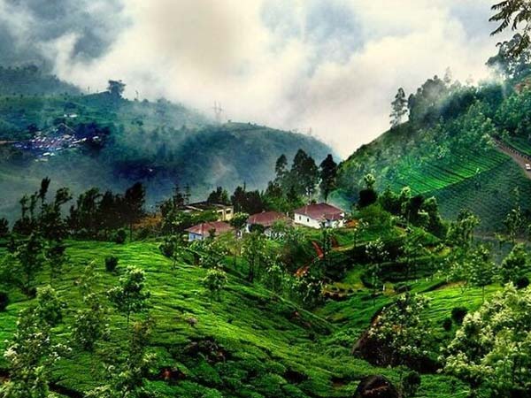 1. కూర్గ్