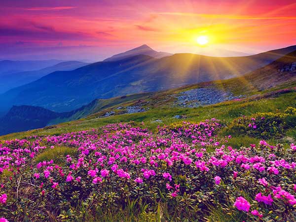 10. కాఫీ కూడా దొరకదు