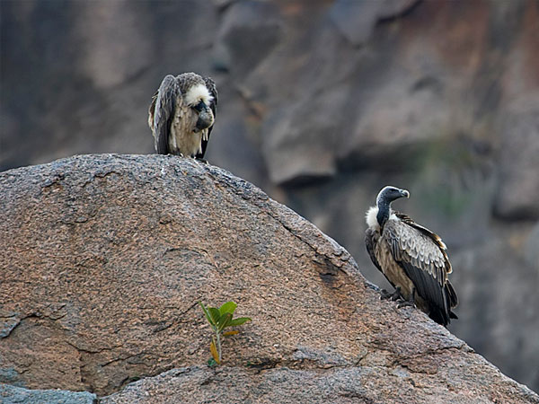 10.రామ్ నగర 